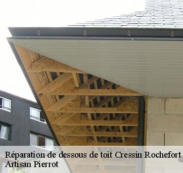 reparation-de-dessous-de-toit