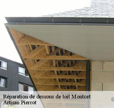 reparation-de-dessous-de-toit