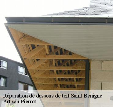 reparation-de-dessous-de-toit