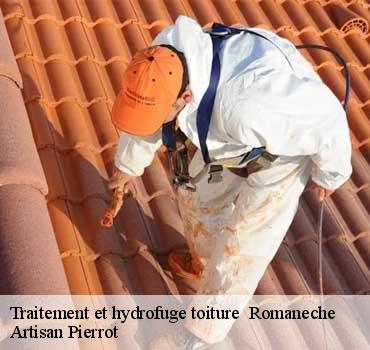 traitement-et-hydrofuge-toiture